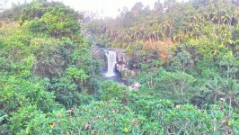 Ubud Tour - Tegenungan