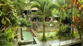 Bali 2 Days Tour - Banjar Hot Springs