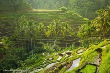 Bali 2 Days Tour - Tegallang