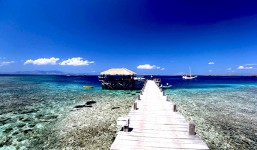 4 Days 3 Nights Manta Ray Adventure - Kanawa