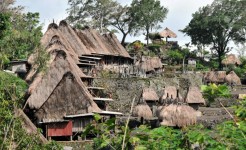 5 Days 4 Nights Flores Overland Adventure - Bajawa
