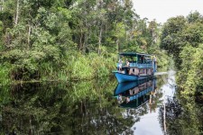 Borneo Orang Utan Tours 3 Days 2 Nights - Klotok