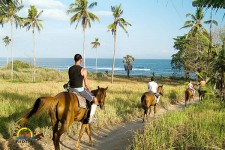 Bali Horse Riding - Riding Experience