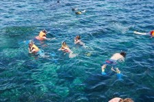 Lembongan Day Cruise Scoot - Snorkeling
